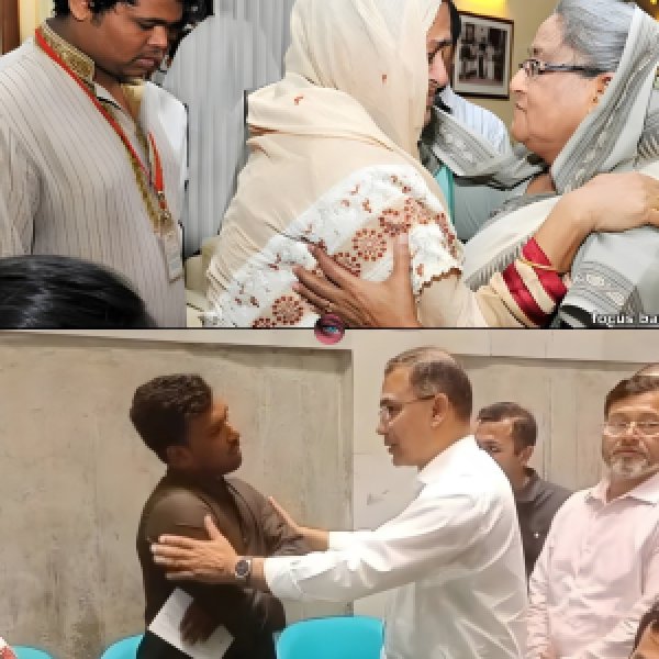 Royal Canin Adult Cat Food sdfsfs