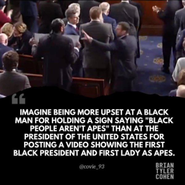 Royal Canin Adult Cat Food 3423424